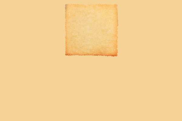 Biscuit stick