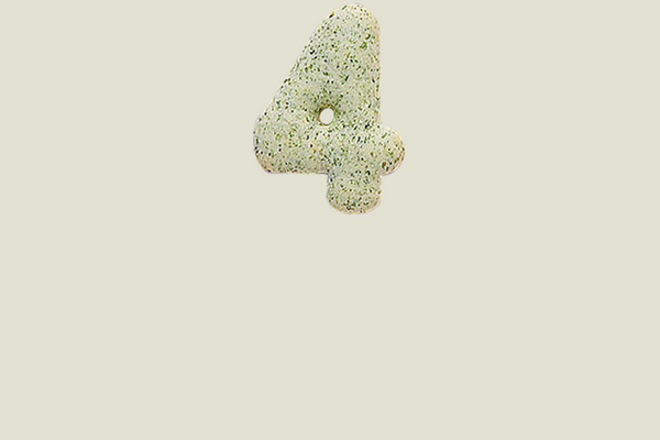 Biscuit stick